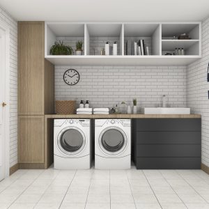 3d rendering wood minimal laundry room with shelf and plant